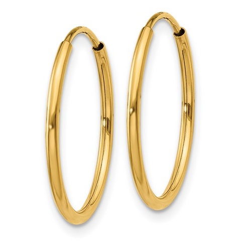 Precious Metal (No Stones) Earring