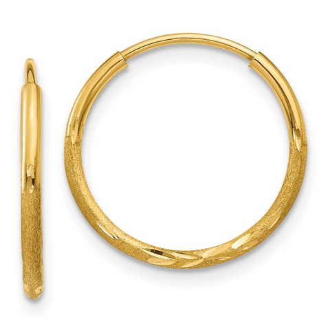 Precious Metal (No Stones) Earring