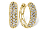 Allison Kaufman Diamond Earrings in 14K Yellow Gold, 0.50 ctw (E2152)