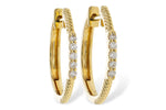 Allison Kaufman Diamond Earrings in 14K Yellow Gold, 0.11 ctw
