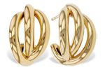 Allison Kaufman Gold Earrings in 14K Yellow Gold (E2360)