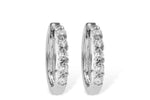 Allison Kaufman Diamond Earrings in 14K White Gold, 0.25 ctw (ER104-25)