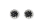 Allison Kaufman Black Diamond Earrings in 14K White Gold, 0.72 ctw