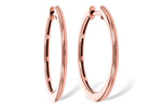 Allison Kaufman Gold Earrings in 14K Rose Gold (ER901-24M)