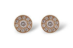 Allison Kaufman Diamond Earrings in 14K Yellow Gold, 0.50 ctw (E1283)