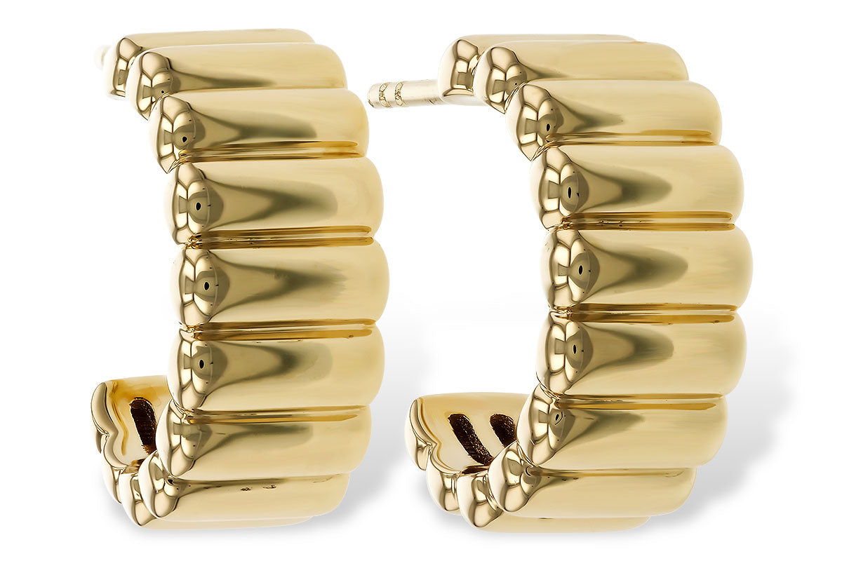 Allison Kaufman Gold Earrings in 14K Yellow Gold (E2332)