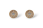 Allison Kaufman Diamond Earrings in 14K Yellow Gold, 0.25 ctw (E1282)