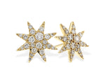 Allison Kaufman Diamond Earrings in 14K Yellow Gold, 0.50 ctw (E2341)