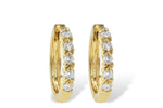 Allison Kaufman Diamond Earrings in 14K Yellow Gold, 0.25 ctw (ER104-25)