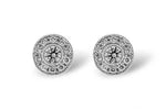 Allison Kaufman Diamond Earrings in 14K White Gold, 0.50 ctw (E1283)