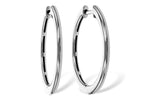 Allison Kaufman Gold Earrings in 14K White Gold (ER901-24M)