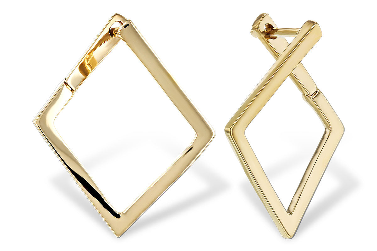 Allison Kaufman Gold Earrings in 14K Yellow Gold (E2337)