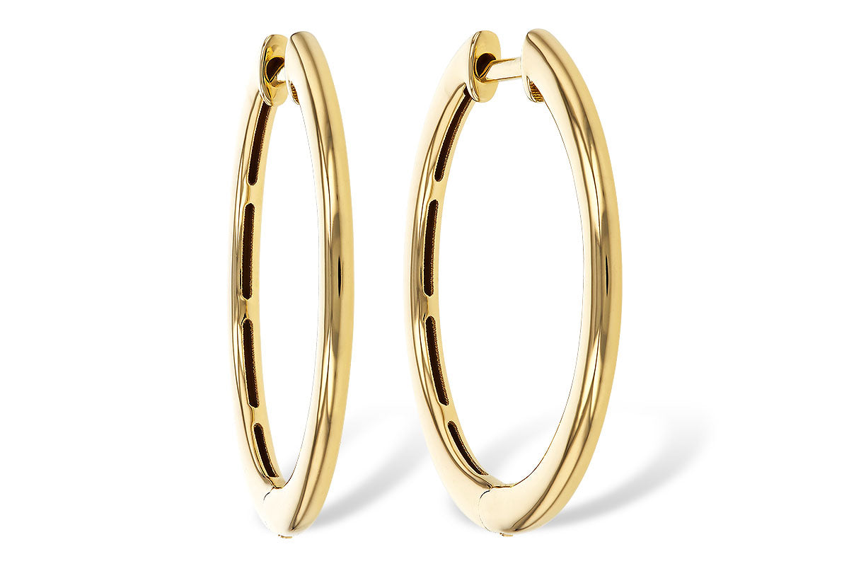 Allison Kaufman Gold Earrings in 14K Yellow Gold (ER901-24M)