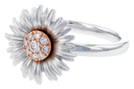 Allison Kaufman Diamond Ring in 14K Rose & White Gold, 0.10 ctw, alternate view