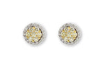 Allison Kaufman Yellow Diamond Earrings in 14K Two-Tone Gold, 0.68 ctw