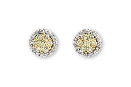 Allison Kaufman Yellow Diamond Earrings in 14K Two-Tone Gold, 0.68 ctw