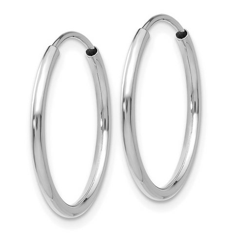 Precious Metal (No Stones) Earring